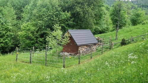 20260607_110337_b_rensicherer_elektrozaun.jpg