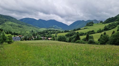 20260615_095116_stefanova.jpg