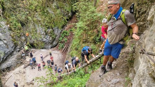 20260803_095255_fenster_wasserfall.jpg