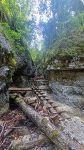 20260804_100100_die_klamm_piecky.jpg