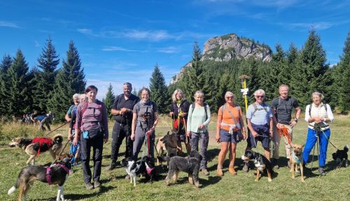 12.9. - 19.9.2026 Hundewanderung im Nationalpark Mala Fatra und Umgebung