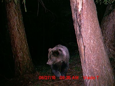 mdgc0007.jpg