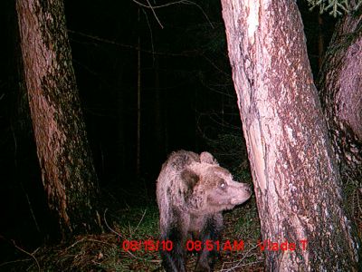 mdgc0010-2.jpg