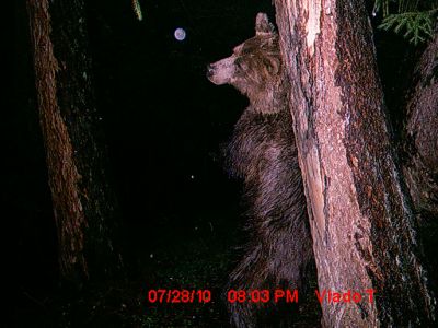mdgc0011.jpg