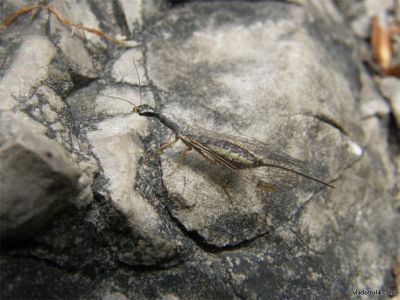 080101-011.jpg