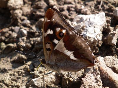dscf5169.jpg