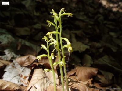 080201-007.jpg