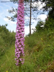 080201-033.jpg