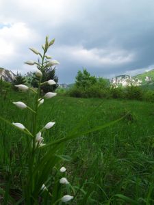 dscf1280.jpg