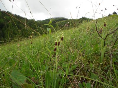 dscf1604.jpg