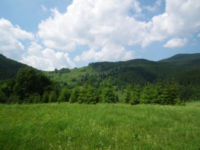 dscf2044.jpg
