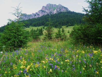 dscf6152.jpg