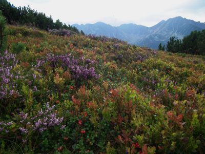 dscf8061.jpg