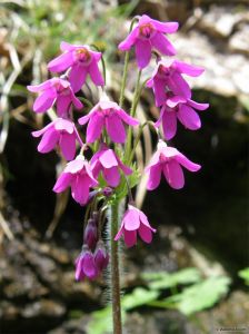 080202-012.jpg