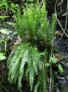 080202-029.jpg