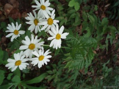 080202-043.jpg