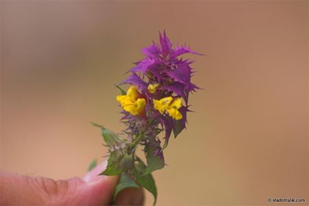 080204-001.jpg