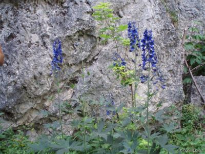 080204-010.jpg