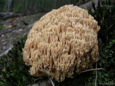 080303-013.jpg